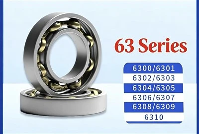 6300 Deep Groove Ball Bearing